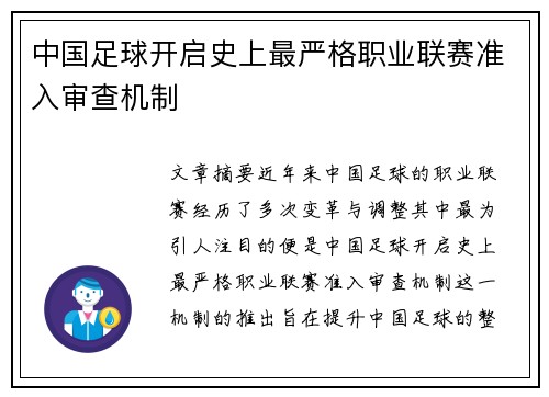 中国足球开启史上最严格职业联赛准入审查机制